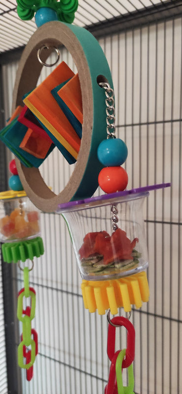 Foraging Toy For Sugar Gliders